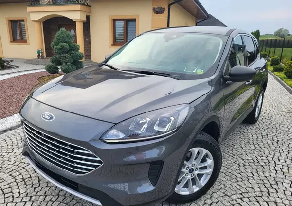 ford małopolskie Ford Kuga cena 81500 przebieg: 38000, rok produkcji 2021 z Tarnów